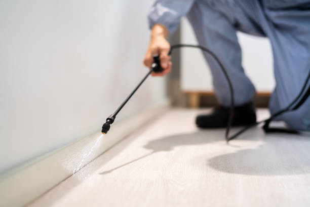 Certified termite inspector examining foundation in Klamath Falls